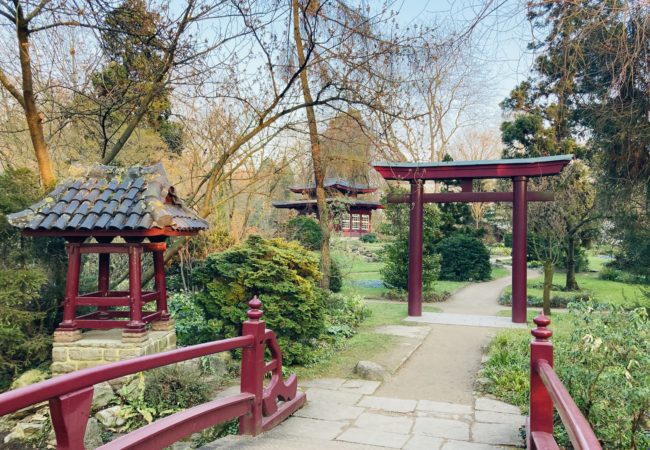 JAPANESE GARDEN