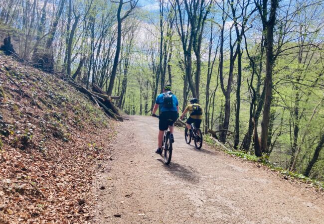 OUT AND ABOUT – CYCLING