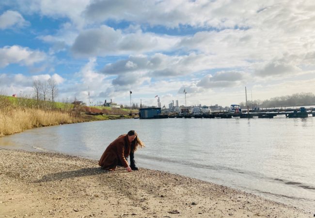 City on the Rhine