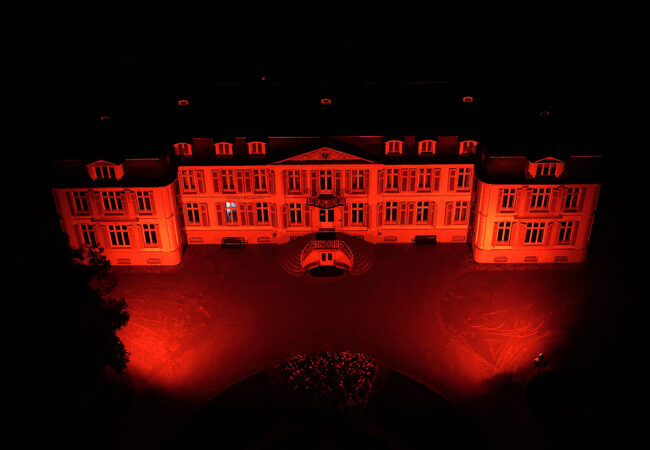 Morsbroich Palace