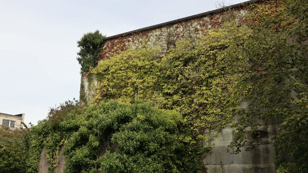 Bunkertour Wiesdorf