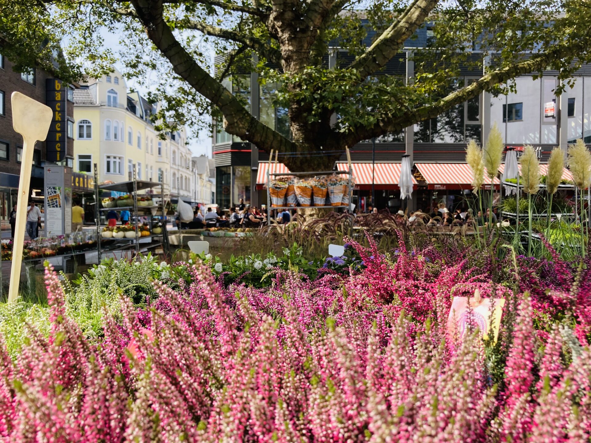 Herbstfest Wiesdorf mit verkaufsoffenem Sonntag 2026