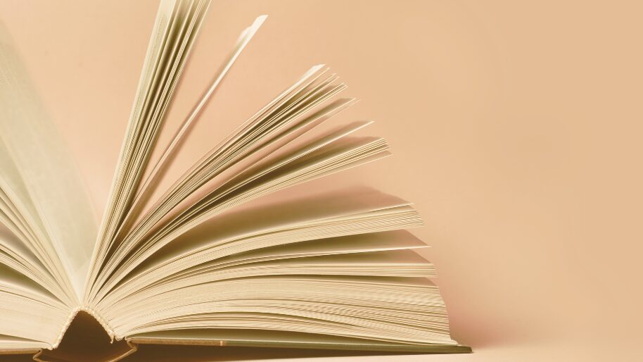 Literarischer Sommer. Deutsch-Niederländisches Literaturfestival.