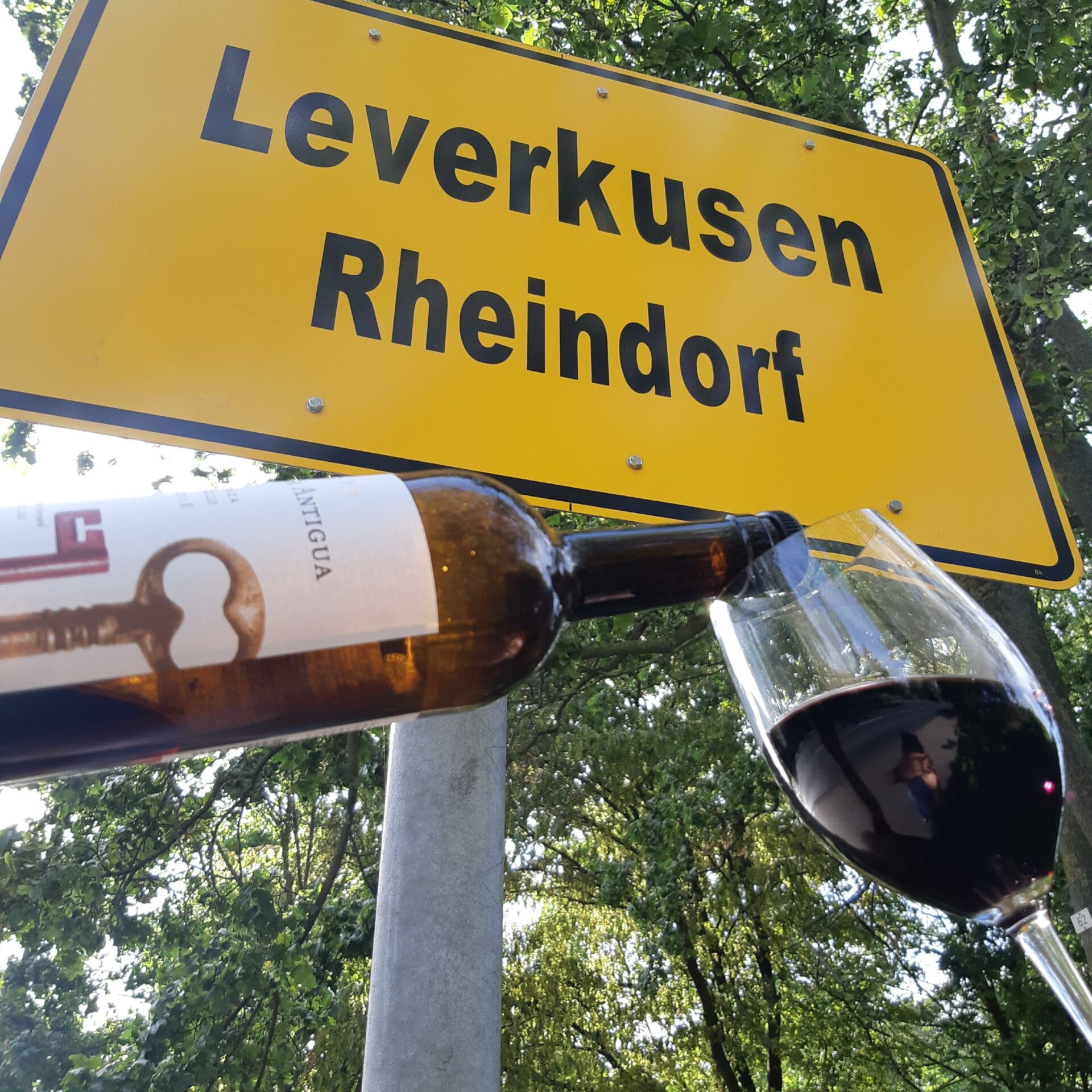Rheindorf. Ein Weindorf?!