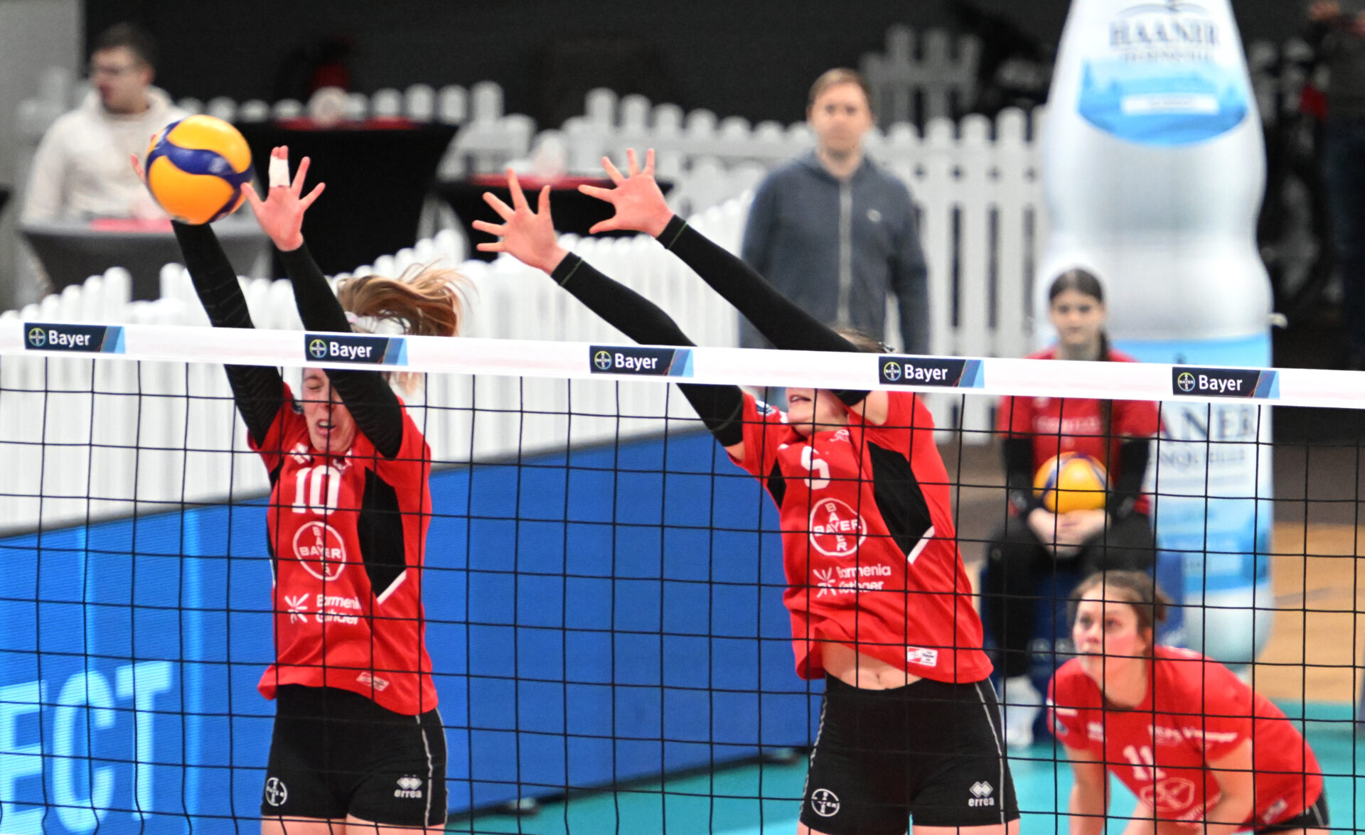 Bayer Volleys. Heimspiele.