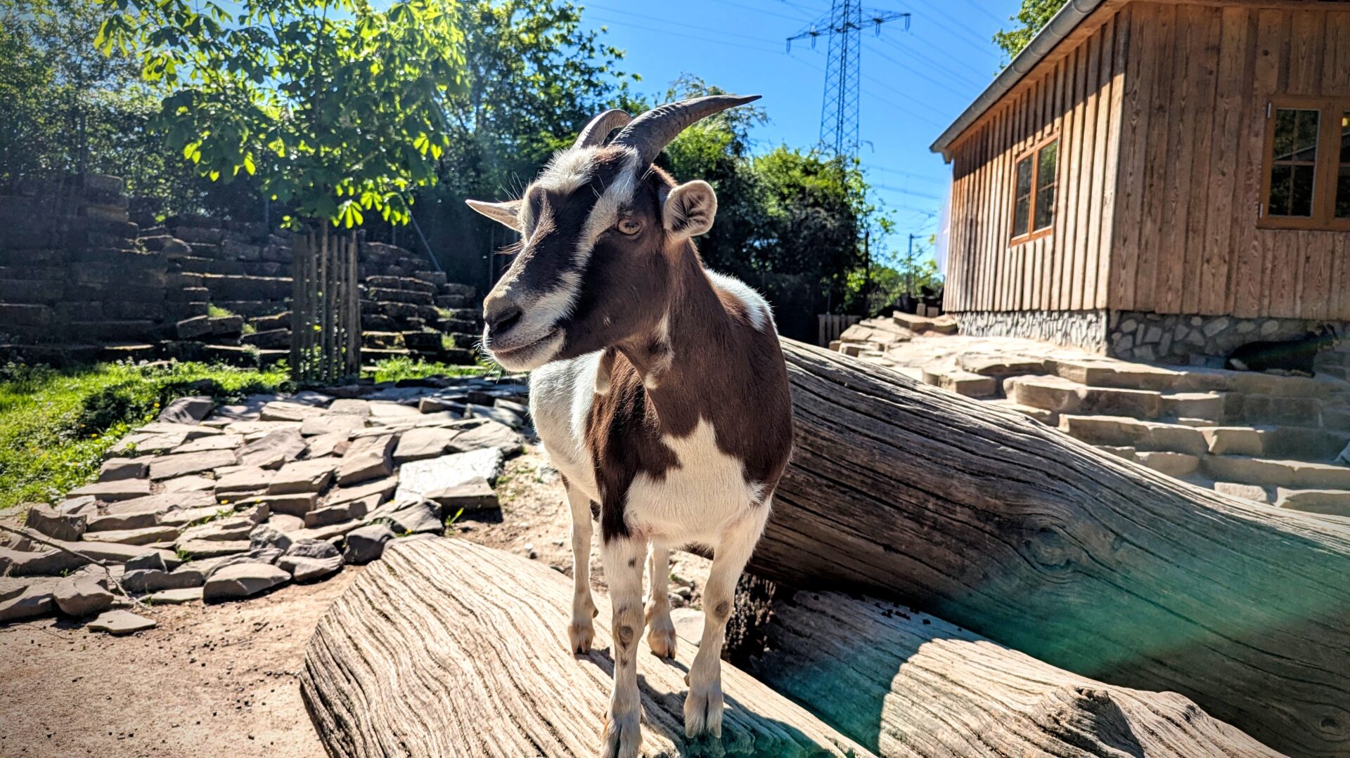 Wildparkfest Reuschenberg 2026