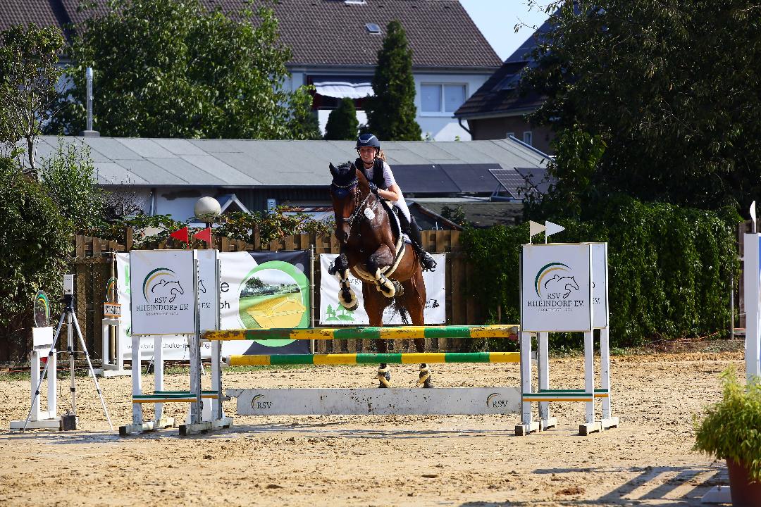 Reitturnier Rheindorf. Dressur und Springen.